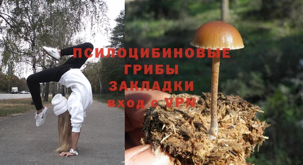 не бодяженный Ладушкин