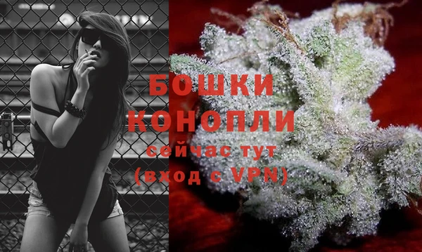 не бодяженный Ладушкин