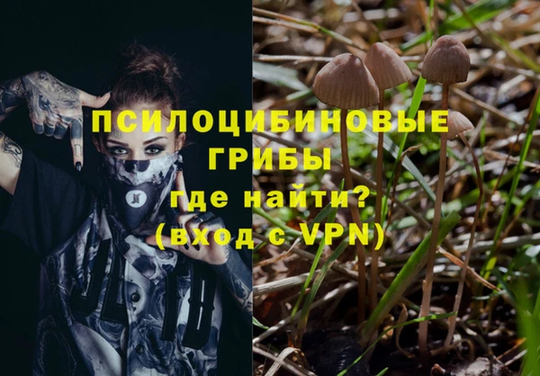 марки lsd Лагань