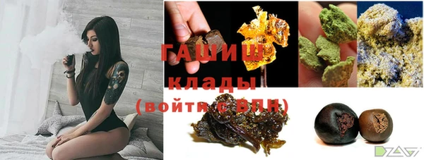 не бодяженный Ладушкин