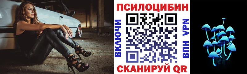 купить  цена  Сретенск  Галлюциногенные грибы мухоморы 